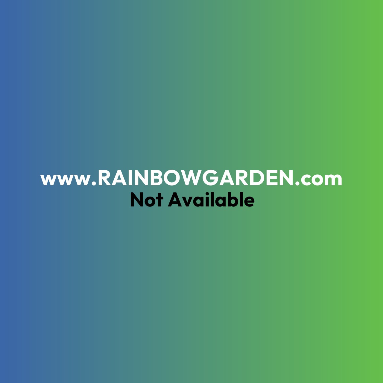 Real-Time Domain Checker Preview