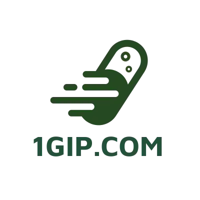 1gip.com for Sale