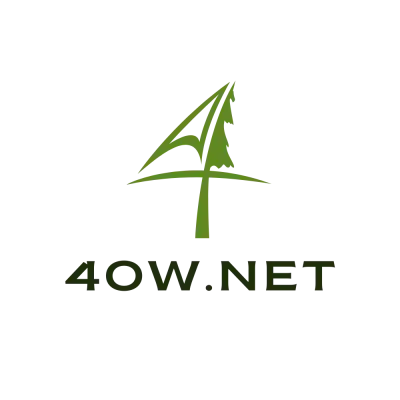 40w.net for Sale