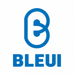 bleui.com for Sale